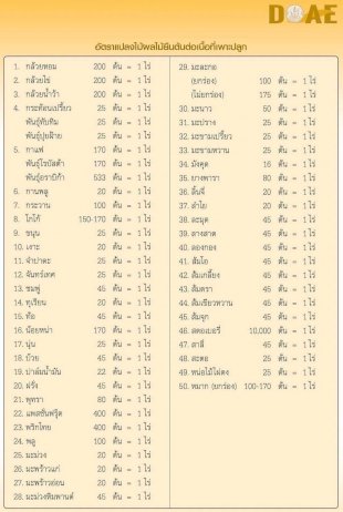 แชร์สนั่น!-โครงการปลูกกล้วยหมื่นต้น-บนที่ดินว่างเปล่า-ริมทะเลสาบเมืองทองธานี