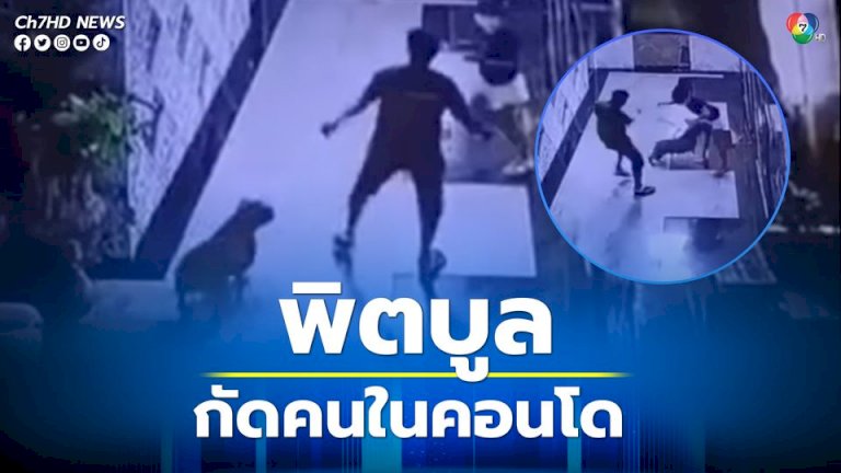 “พิตบูล”-กระโจนกัดผู้พักอาศัยในคอนโดฯ-เลี้ยงมานาน-2-ปี